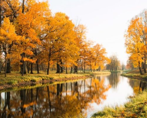 Los colores del otoño